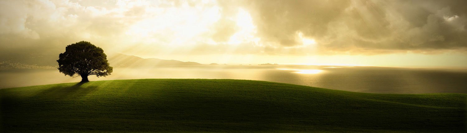 Slide background